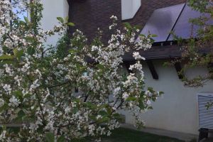 Мережева солнечная станція 5/7 кВт, Київська область. Васильків