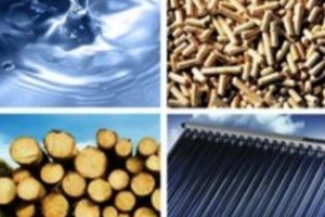 Закарпатье ищет альтернативные виды энергосбережения 