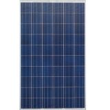 Battery Solar 265 W/24V (poly)