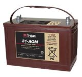 Battery deep cycle TROJAN 31-AGM (12V-100АH)