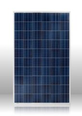 Батарея солнечная Perlight 300Вт/24В poly