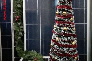 Наша сонячна ялинка ;)